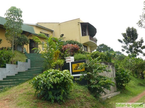 The Ankrah Foundation