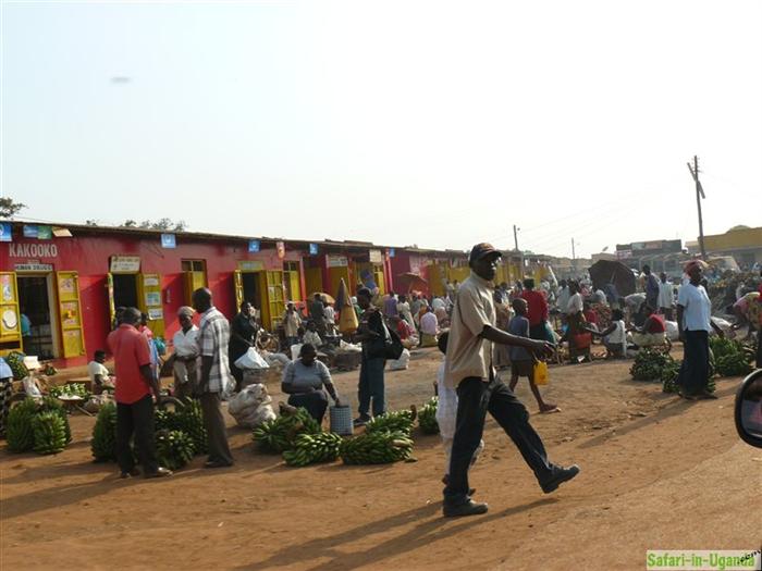 Hoima am Afrikanischen Grabenbruch – Bild 2