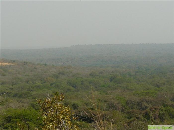 Murchison-Falls-Nationalpark – Bild 3