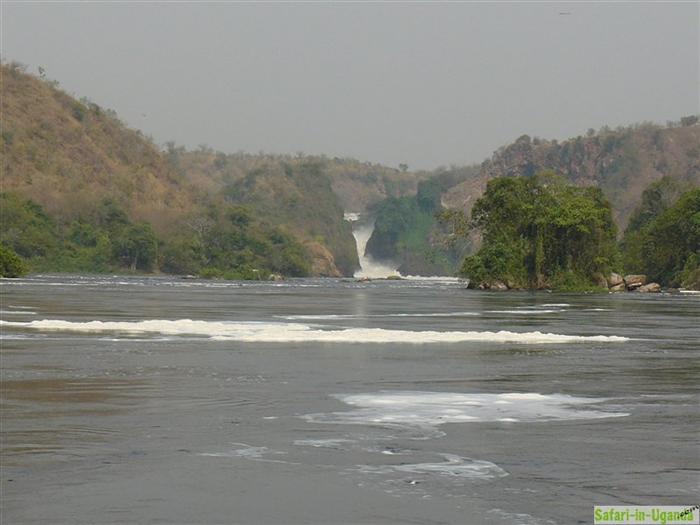 Murchison-Falls-Nationalpark – Bild 37