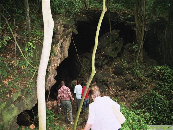 Queen Elizabeth National Park – Image 14