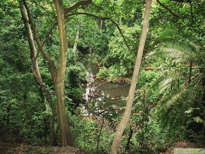 Queen Elizabeth National Park – Image 18