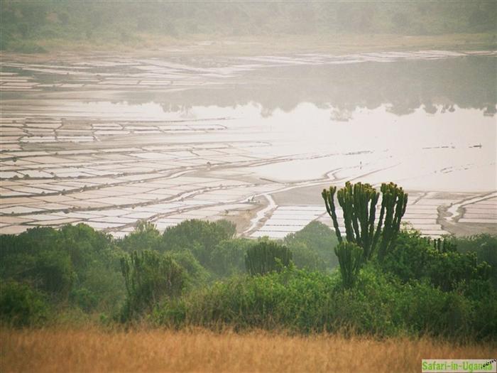 Queen Elizabeth National Park – Image 21