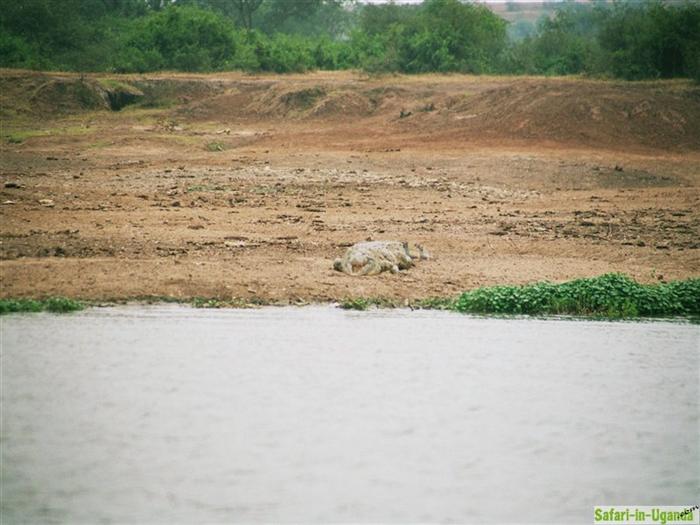 Queen Elizabeth National Park – Image 22