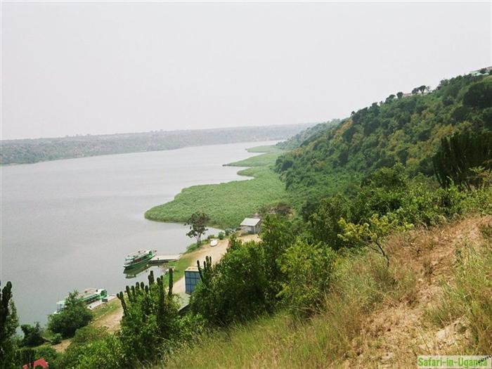 Queen Elizabeth National Park – Image 31