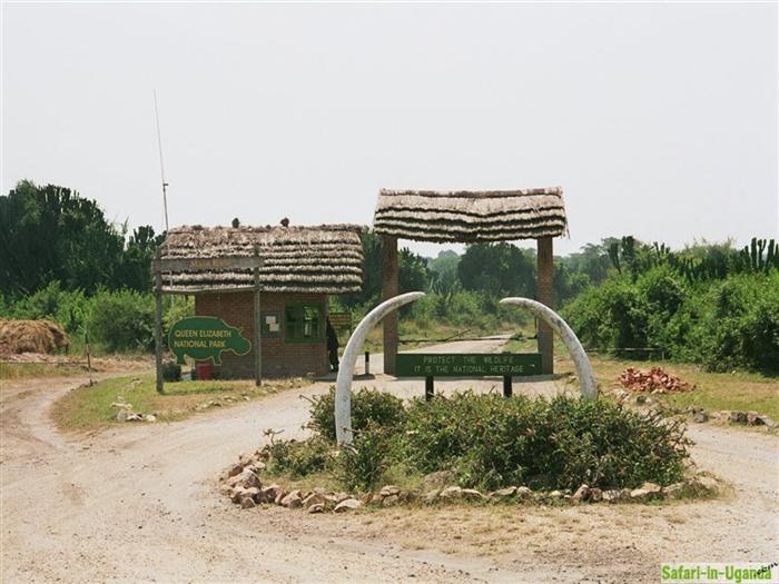 Queen Elizabeth National Park – Image 33