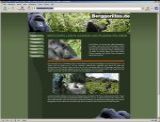 Mountain gorillas